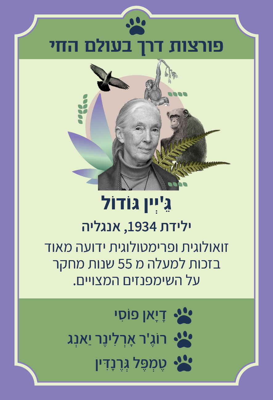 משחק רביעיות נשים פורצות דרך