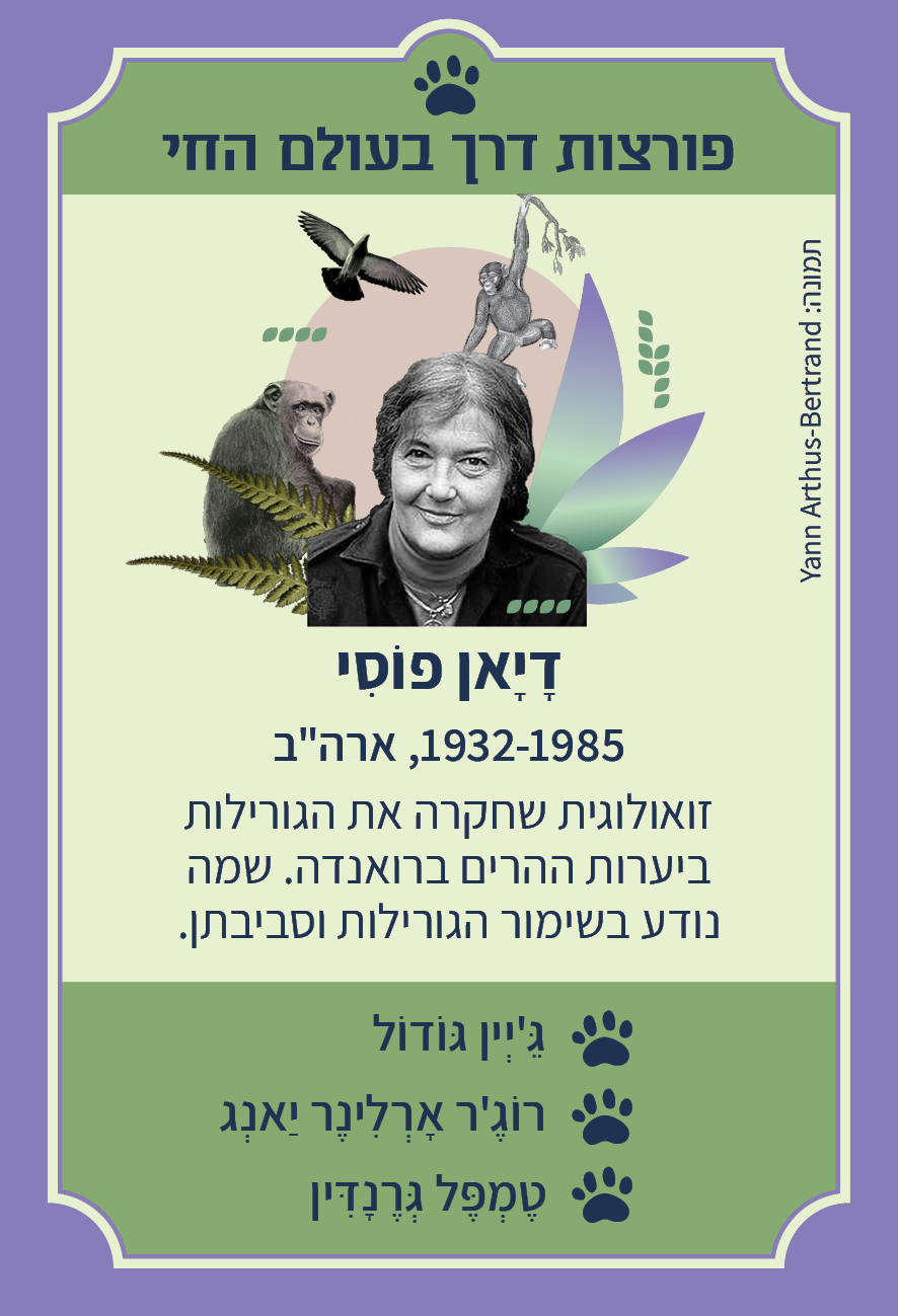 משחק רביעיות נשים פורצות דרך