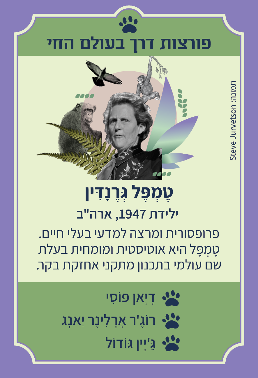 משחק רביעיות נשים פורצות דרך