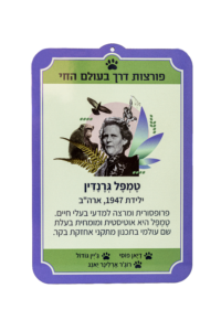 תמונת השראה נשים פורצות דרך