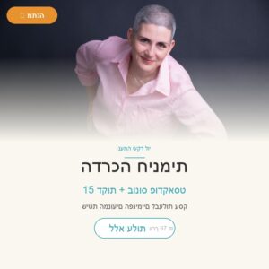 הדרכה חינמית - שיטת המנועים הפנימיים